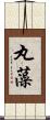 丸藻 Scroll