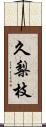 久梨枝 Scroll
