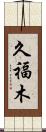 久福木 Scroll