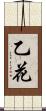 乙花 Scroll