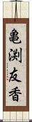 亀渕友香 Scroll