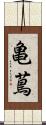 亀蔦 Scroll
