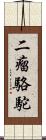 二瘤駱駝 Scroll