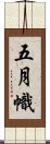 五月幟 Scroll