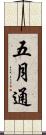 五月通 Scroll