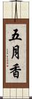 五月香 Scroll
