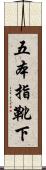 五本指靴下 Scroll