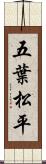 五葉松平 Scroll