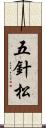 五針松 Scroll