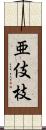 亜伎枝 Scroll