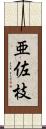 亜佐枝 Scroll