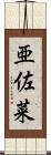 亜佐菜 Scroll