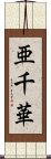 亜千華 Scroll