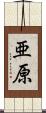 亜原 Scroll