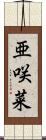 亜咲菜 Scroll