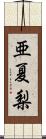 亜夏梨 Scroll