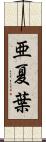 亜夏葉 Scroll