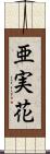 亜実花 Scroll