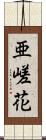 亜嵯花 Scroll