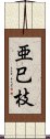 亜巳枝 Scroll