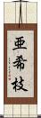 亜希枝 Scroll