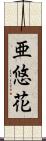 亜悠花 Scroll