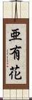 亜有花 Scroll