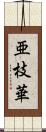 亜枝華 Scroll