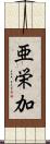 亜栄加 Scroll