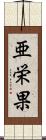 亜栄果 Scroll