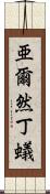 亜爾然丁蟻 Scroll