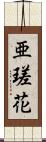 亜瑳花 Scroll
