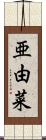 亜由菜 Scroll