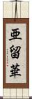 亜留華 Scroll