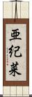 亜紀菜 Scroll