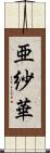 亜紗華 Scroll