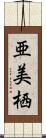 亜美栖 Scroll