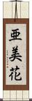 亜美花 Scroll