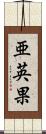 亜英果 Scroll