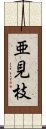 亜見枝 Scroll
