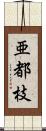 亜都枝 Scroll