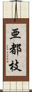 亜都枝 Scroll