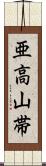 亜高山帯 Scroll