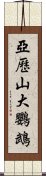 亞歷山大鸚鵡 Scroll