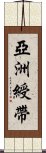 亞洲綬帶 Scroll