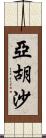 Yahusha Scroll
