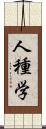 人種学 Scroll