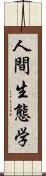 人間生態学 Scroll