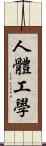 人體工學 Scroll