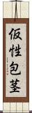 仮性包茎 Scroll